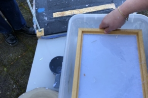 exposition @lagrandelessive 🎨 19 mars 🎨