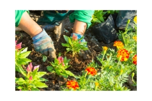 ✂️📚 ACTIVITÉS PARENTS – ENFANTS du lundi à 16H30 🌼