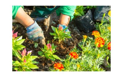 ✂️📚 ACTIVITÉS PARENTS – ENFANTS du lundi à 16H30 🌼